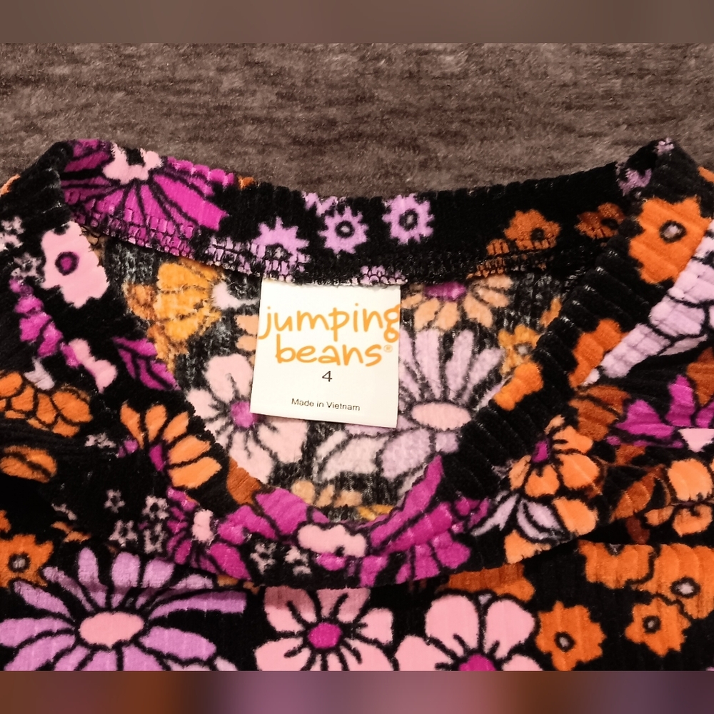 Jumping Beans Velour Floral Dress Girls 4t - Picture 5 of 8